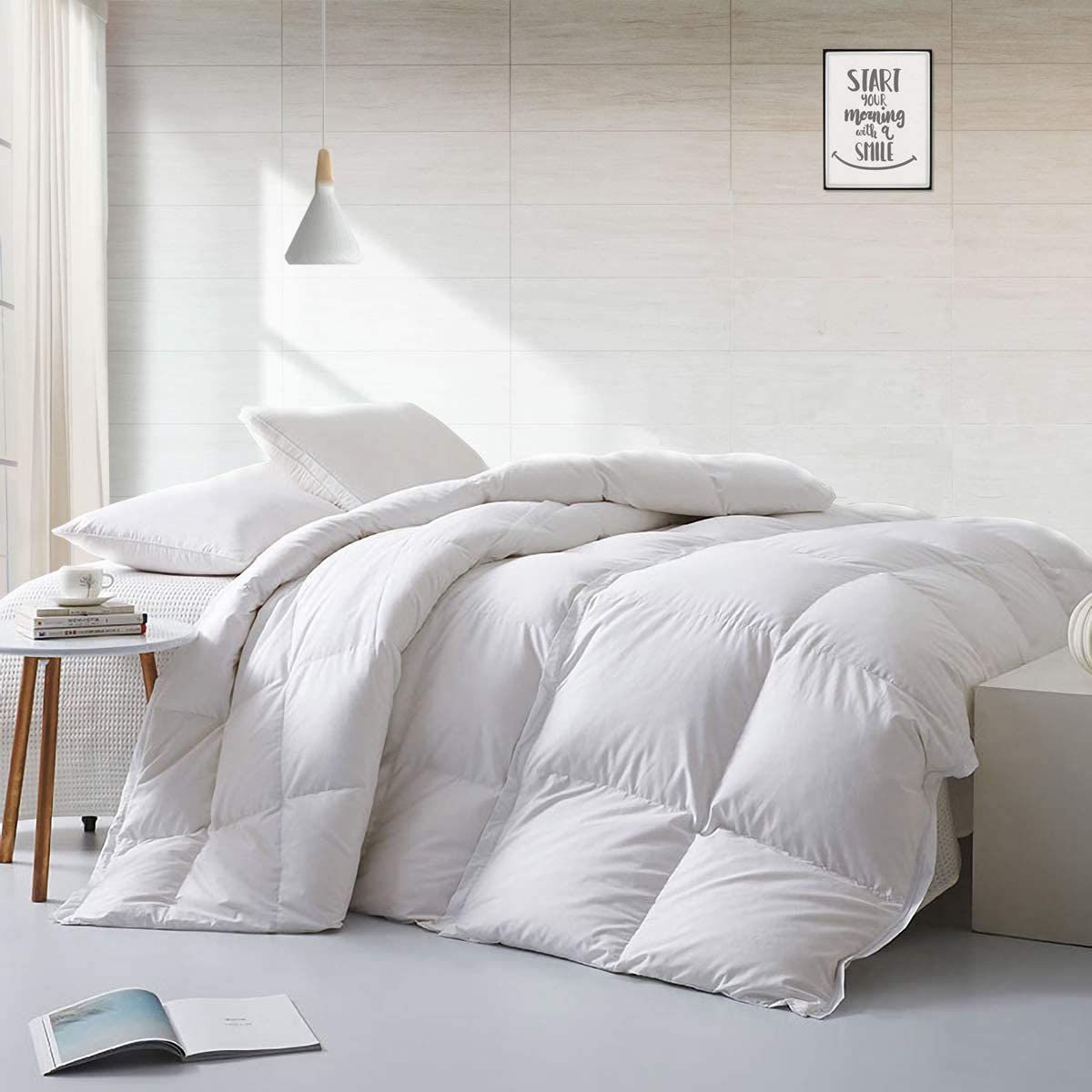 Price:$145.00  Lightweight Feathers Down Comforter Full/Queen Duvet Insert Summer Warmer Climates / Sleeper -Ultra-Soft Home Collection Comforter, 33Oz Thin Light Warmth, (90x90, Solid White) : Home & Kitchen