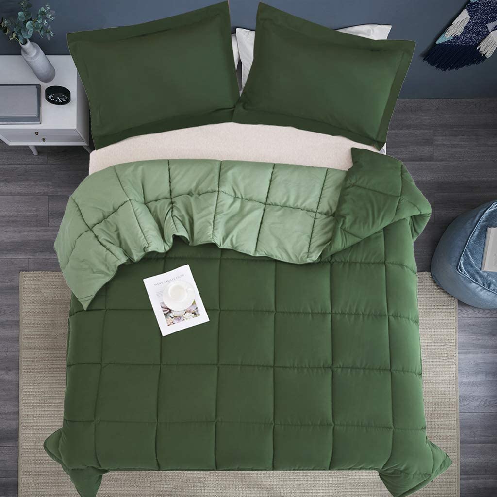 Price:$32.99  Green Down Alternative Comforter Twin Size - 3 Piece Reversible All Season Duvet Insert - Box Stitching Blanket - 4 Corner Tabs Bedding Set - Lightweight & Breathable (LQ-Downalt) : Home & Kitchen