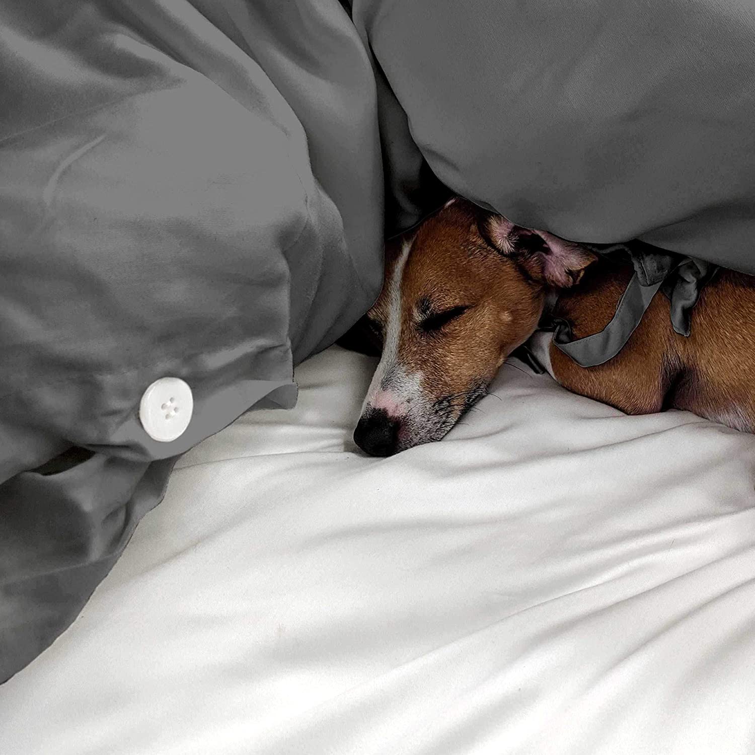 Price:$117.90  & Giggles Eucalyptus Lyocell Duvet Cover. Sinfully Soft (but Like a venial sin), Our Duvet Cover has Easy-to-Fasten Ties and Buttons. Softer Than Cotton, Cooling, Non-allergenic. King, Grey : Home & Kitchen