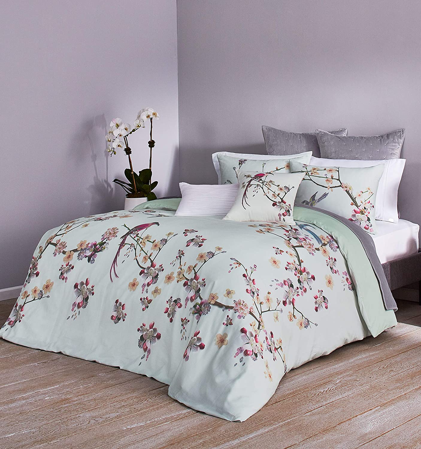 Price:$240.10  Baker Flight of The Orient Cotton 3 Piece Duvet Set with Shams, Full/Queen, Mint Green : Home & Kitchen