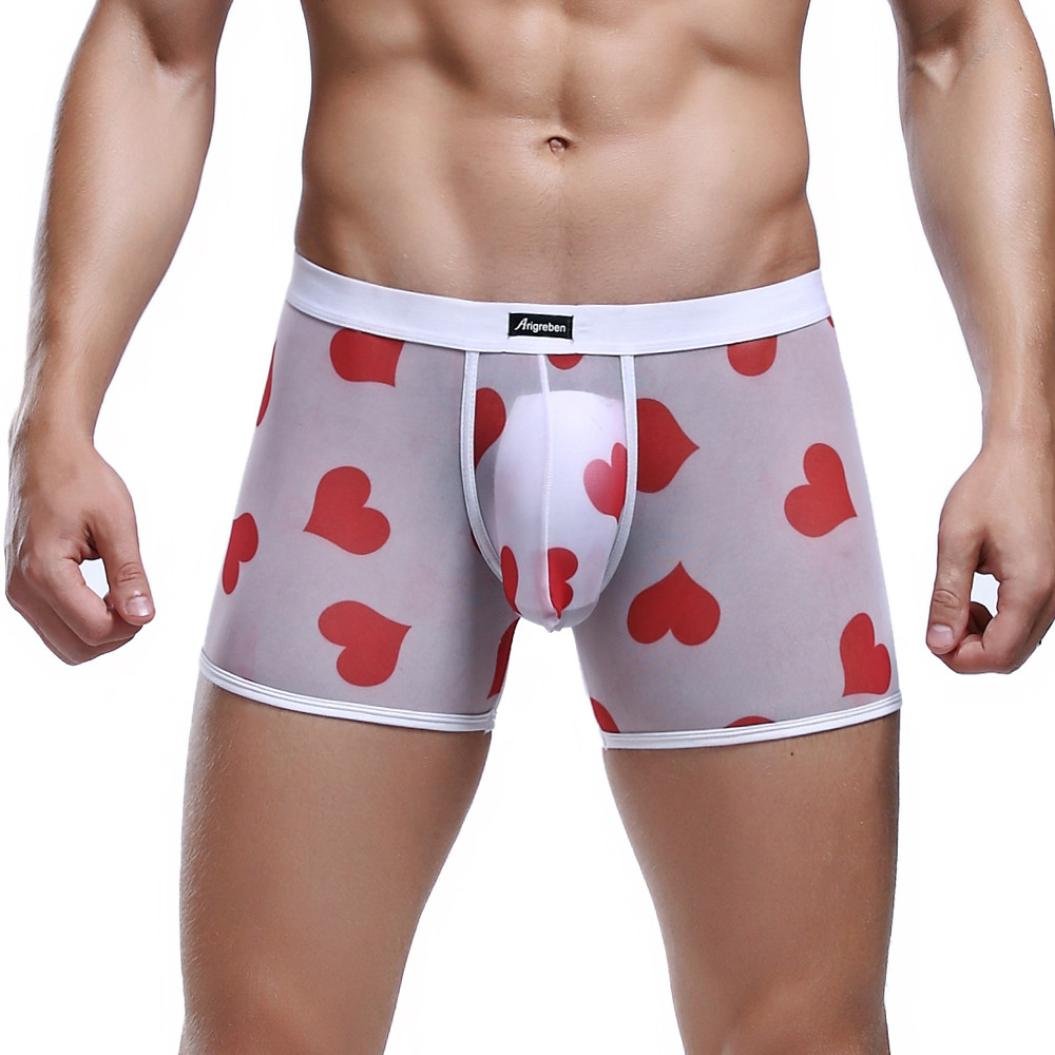 Price:$2.99    AmyDong Fashion Mens Net Yarn Breathable Printing Flat Sexy Underwear Men's Printed Briefs  Clothing