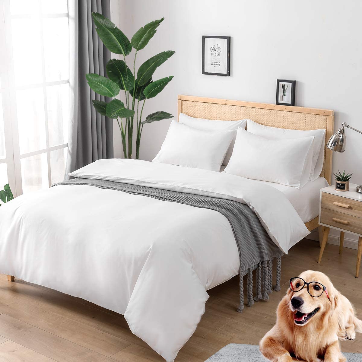 Price:$39.99    Eternal Moment 3 Pieces Duvet Cover Set Queen Size, 100% Natural Cotton Hotel Collection Bedding Sets,Ultra Soft and Breathable Comforter Cover with Zipper Closure & Corner Ties(Queen, White)  Home & Kitchen