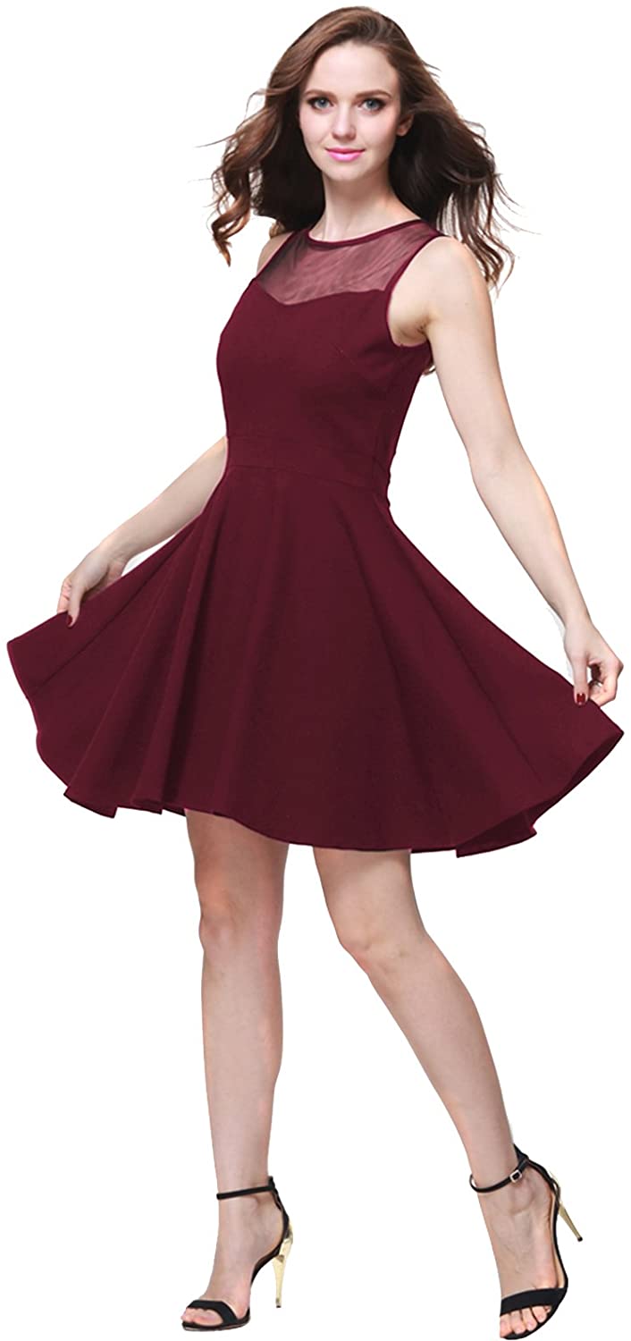 Price:$14.43    BUENOS NINOS Women's Sleeveless Pleated Mesh Panel A-line Short Flare Party Dress  Clothing