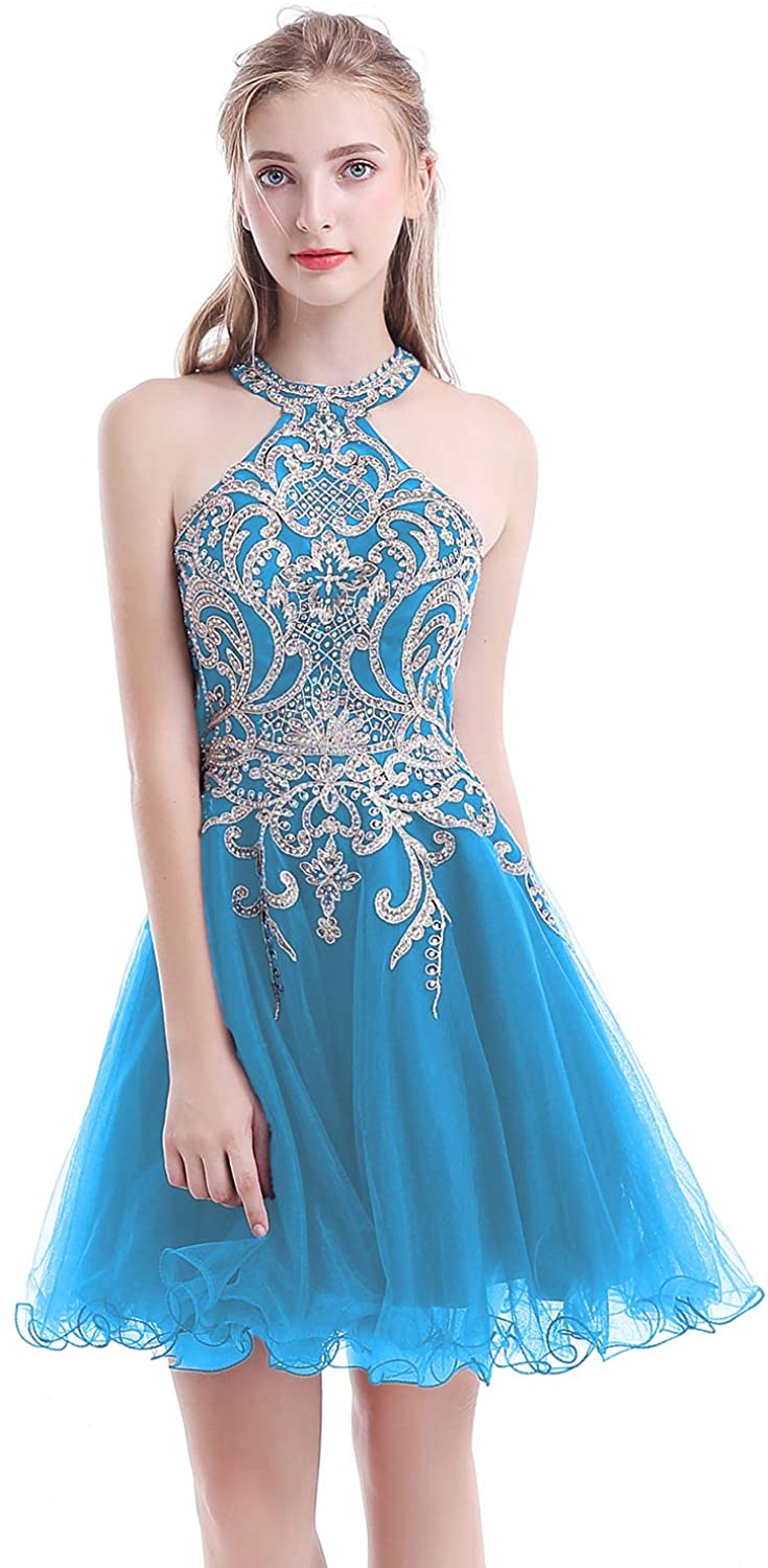 Price:$49.99    DAIMER Women's 2019 Halter Tulle Homecoming Dresses Short Beaded Prom Gown DMDH112  Clothing