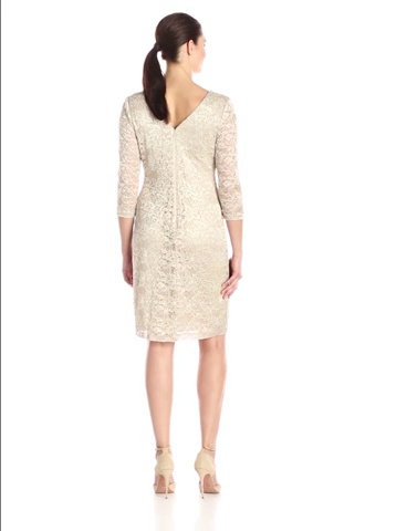 Price:$89.41    S.L. Fashions Women's Long Sleeve Lace Sheath Dress  Clothing