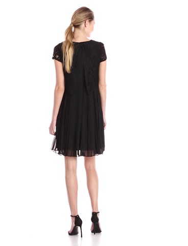 Price:$140.63    Adrianna Papell Women's Pop Over Lace Pleated Chiffon Dress, Black, 6  Clothing