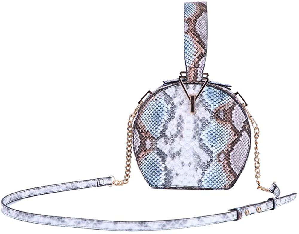Price:$15.99 Alnice Unique Snakeskin Purse Round Cross Body Hand Bag Top Handle Python Leather Mini Shoulder Handbags for Women (Grey)  Handbags   