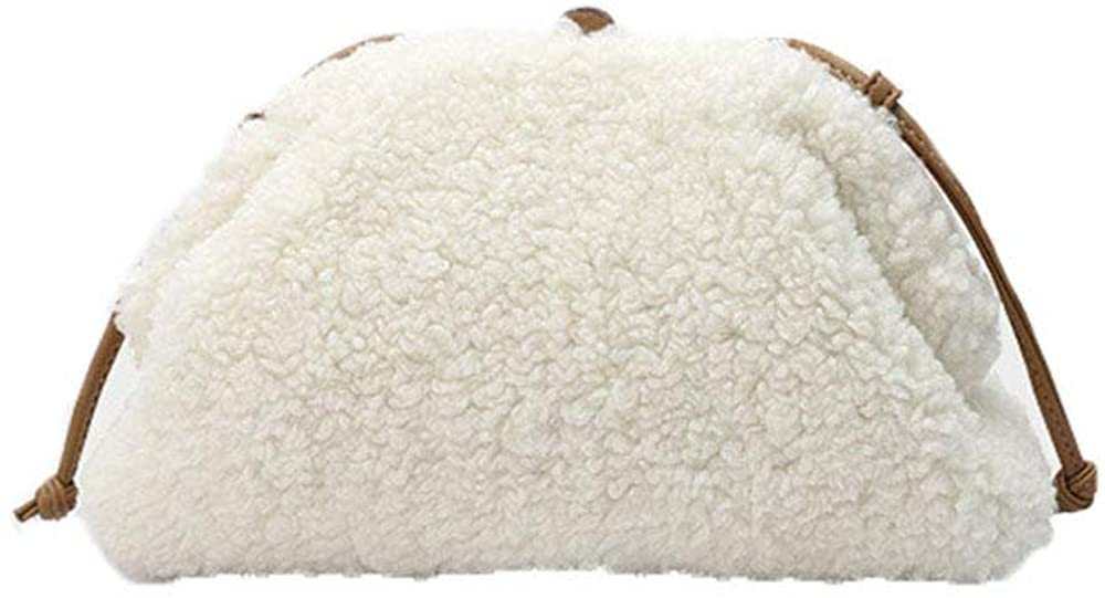 Price:$0.00 Robin Dragon Women's Wool Dumplings Pouch Retro Fashion Cloud Bag Crossbody Shoulder Bag (white)  Handbags   