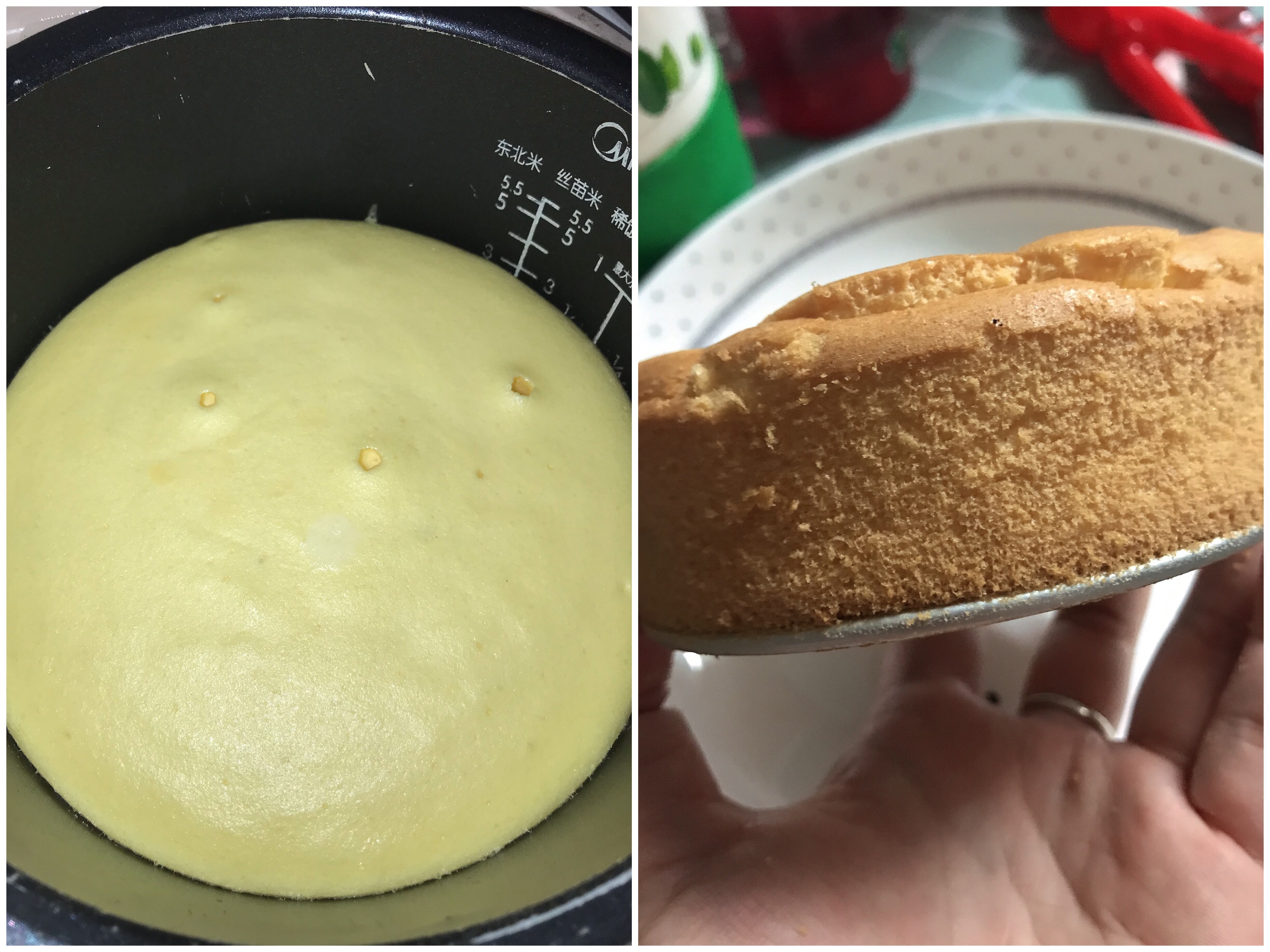 
Electric meal Bao and oven are simple the practice of edition cake recipe