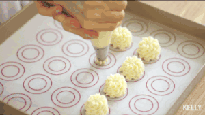 One close lightly is changed namely crisp carry floret on the head to the precious Ni Qu Jiyun that drops broken bits / bake video biscuit piece the practice measure of 1 21