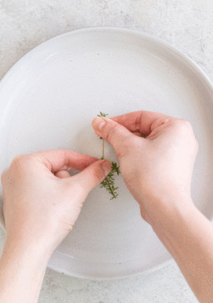 Follow the first dining-room of world advocate the practice measure that hutch learns to make innovation green sauce 2