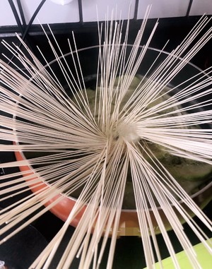 The little skill of the fine dried noodles that boil, do not stick not rawish practice measure 2