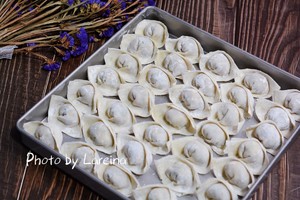 Wonton skin (machine of face of hand dynamic pressure) the practice measure of the makings that contain stuffing 7