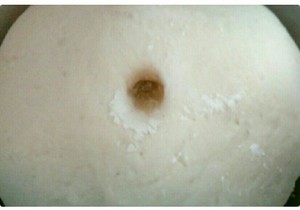 The practice measure that exceeds biscuit of delicious dried meat floss 2