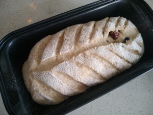 The practice measure that 〔 of whole wheat bread does not have oily 〕 without candy 14