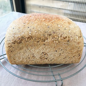 The practice measure of bread of gemmiparous cereal whole wheat 5