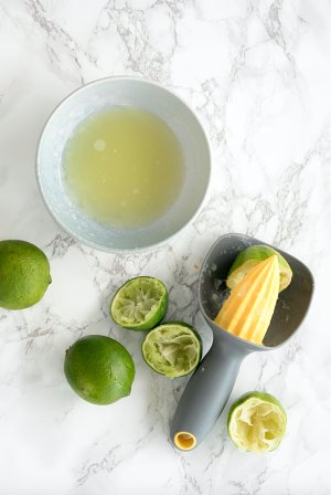 Ceviche, the practice measure that comes from Peruvian salad 4