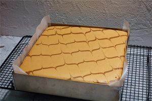 Cake of yoghurt relative wind (26 centimeters custom-built bake dish) practice measure 23