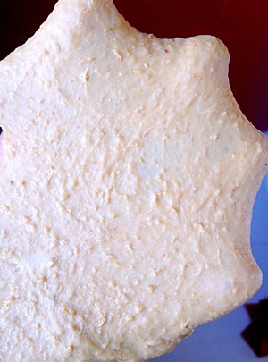 The practice measure that exceeds bread of soft whole wheat 2