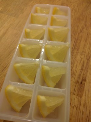 クエン酸氷の実践尺度レモンアイスキューブ1