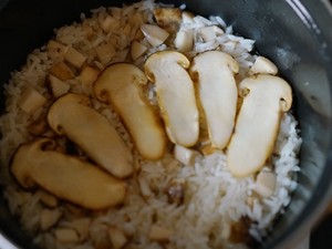 The practice measure of meal of loose fine and soft 8