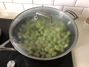 4を沸騰させる水馬豆の実践測定