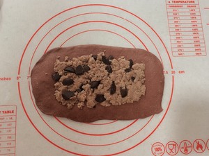 The practice measure of fruit of shellfish of Chinese chestnut of cocoa of deep Qiu Nuanxin 8