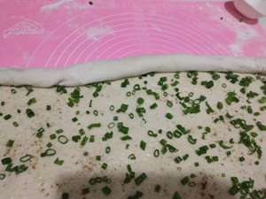 Cake of sweet chopped green onion of leaven dough any of several hot spice plants (super announce is soft) practice measure 5