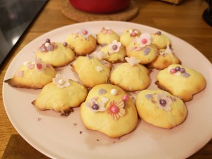 The practice measure of small biscuit of princess wind Christmas 6