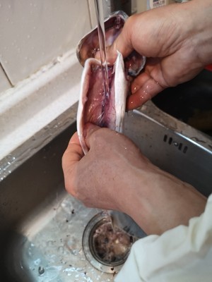 Spanish mackerel dumpling (add Spanish mackerel processing technique) practice measure 3