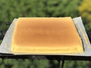 The practice measure that cake of dried meat floss coils 6