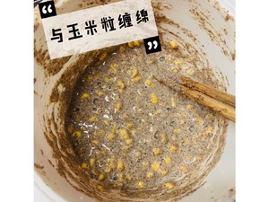  The 全粒小麦のホークケーキ4 