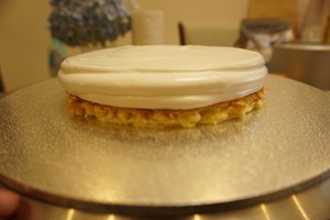 The practice measure of cake of christmas tree modelling 18