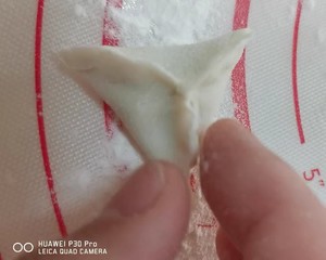 Complementary feed jujube paste triangle to include the practice measure of 9+ 9