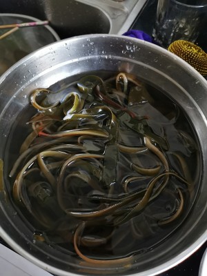 The practice measure of face of Henan hotpot braise 7