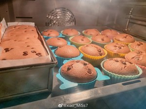 The practice measure of cake of cup of paper of cocoa relative wind 10