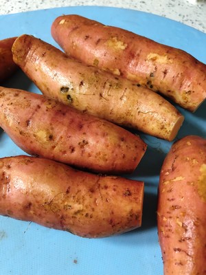 Simple quick worker bakes pachyrhizus (yam) practice measure 3