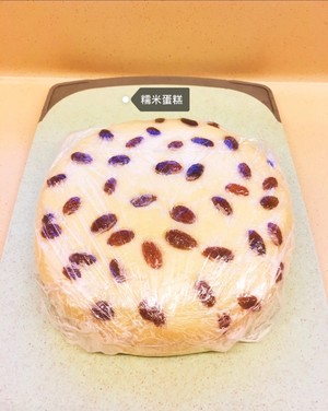 Cake of evaporate polished glutinous rice, need not divide an egg need not oven makes noodles or vermicelli made from bean or sweet potato starch without bubble without oily anhydrous, 