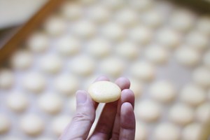The practice measure of egg small biscuit 23