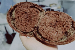 The practice measure of fruit of shellfish of Chinese chestnut of cocoa of deep Qiu Nuanxin 14
