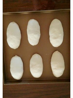 The practice measure that exceeds biscuit of delicious dried meat floss 9