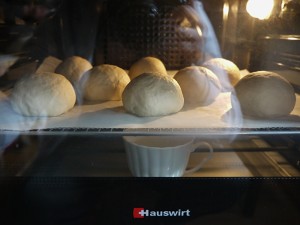 Does salty yoke earth up root lava biscuit? ? practice measure 20