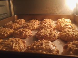 Earthnut crisp cake (inapproachable sweet crisp pine! ) practice measure 3