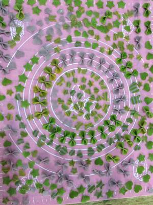 Baby complementary feed: The practice measure of range of chromatic cartoon butterfly 8