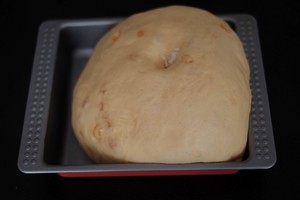 Festal biscuit - the practice measure of Panettone 4