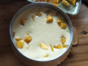 The practice measure of cake of mango Mu Si 10