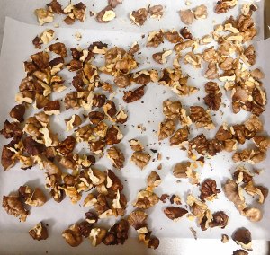 Nutlet fruit works - practice measure of Dalieba 8