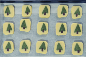 [the Christmas] the practice measure of silvan biscuit 11