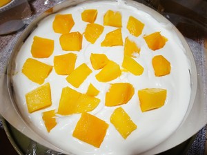 The practice measure of cake of mango Mu Si 8