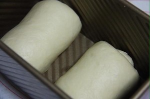 Milk says department (add detailed measure to pursue) practice measure 7